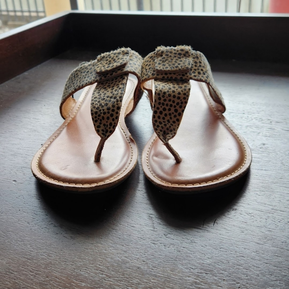 Kork-Ease Cream and Black Sandals with Leopard Print Accent - Picture 2 of 6
